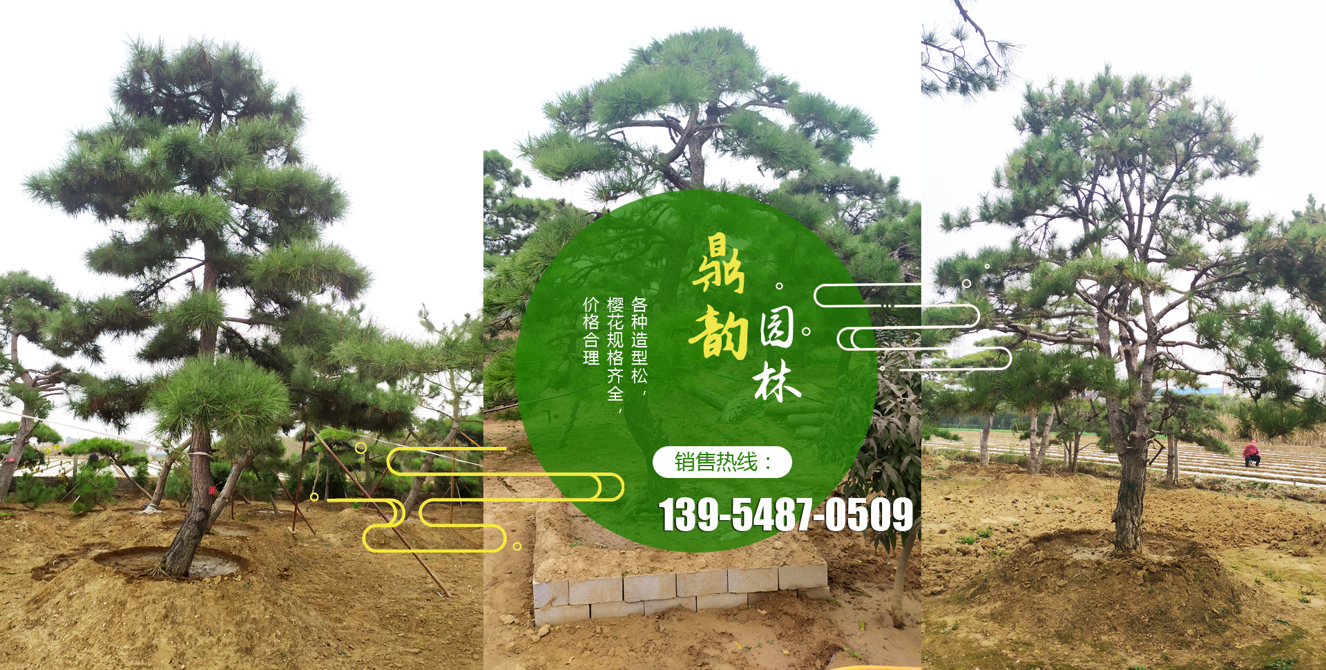 山東鼎韻園林綠化有限公司